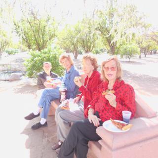A group of people enjoying a picnic outdoors in a park during the daytime.