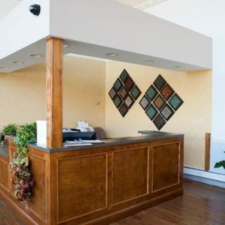A modern reception desk with decorative artwork and indoor plants.