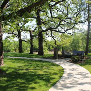 A serene pathway lined with lush green grass and majestic trees in a peaceful park.