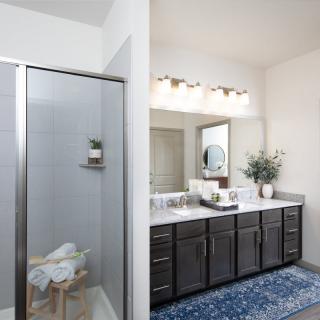 A modern bathroom with a large vanity and shower, complemented by stylish decor and plants.