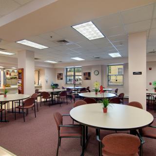 A well-lit meeting room with round tables and chairs, decorated with small potted plants.