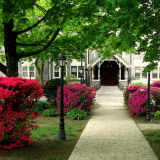 A serene garden pathway lined with vibrant bushes and large trees.