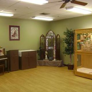 A spacious room with a display case, decorative items, and potted plants.