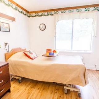 A well-lit room with a hospital bed, wooden furniture, and a large window.