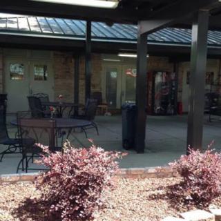 An outdoor patio area with tables, chairs, and surrounding plants.