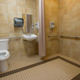 A well-maintained accessible bathroom featuring a toilet, sink, and shower.