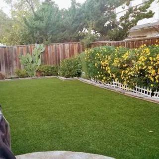 A well-maintained backyard garden with a lush green lawn, surrounded by trees, shrubs, and flowers.