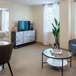 A modern living room with a television, stylish coffee table, armchair, and houseplant in a bright space.
