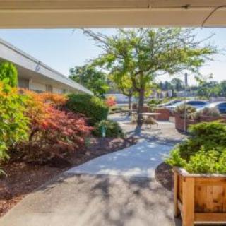 A sunny outdoor walkway surrounded by landscaped bushes and trees, leading to a parking area with several cars.