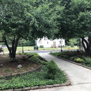 A serene garden pathway lined with trees and greenery.
