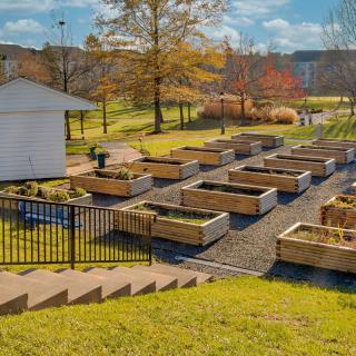 A community garden with multiple raised beds under a sunny sky.