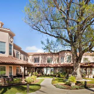 A sunny courtyard with a large tree in front of a residential building.