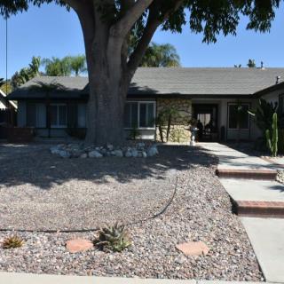 A single-story house with a xeriscaped front yard and a large tree.