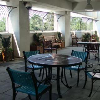 A cozy outdoor seating area with tables and chairs, surrounded by potted plants.