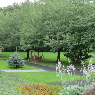A tranquil park scene featuring lush green grass, a pathway, and a swing set nestled among the trees.