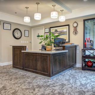 A well-decorated reception area featuring a wooden desk, modern lighting, and decorative elements.