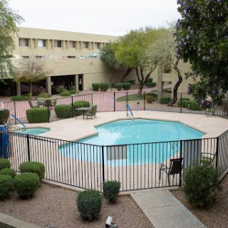 A serene outdoor swimming pool area surrounded by greenery in a residential setting.