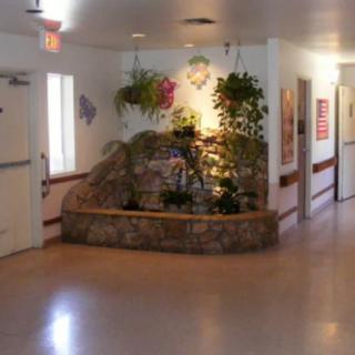An indoor hallway with decorative plants and stone structure.