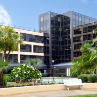 A modern office building with a glass facade surrounded by greenery and palm trees on a sunny day.