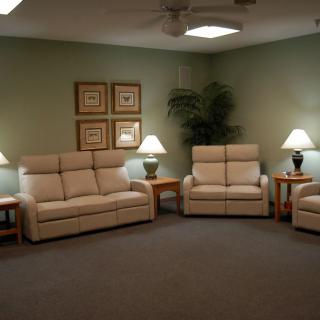 A cozy living room with beige sofas, decorative lamps, and plants against a green wall.