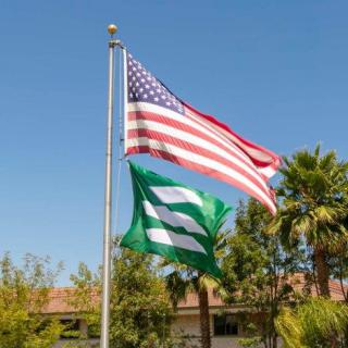 Two flags, one of the United States and a green flag, flying on a flagpole against a clear blue sky.