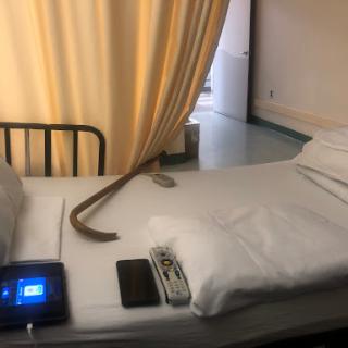 A hospital patient room featuring an unoccupied bed with medical equipment and a cane on top.