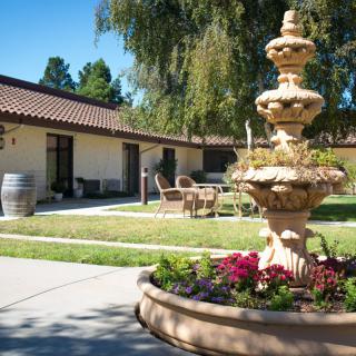 A serene courtyard with a decorative fountain surrounded by greenery and flowers.