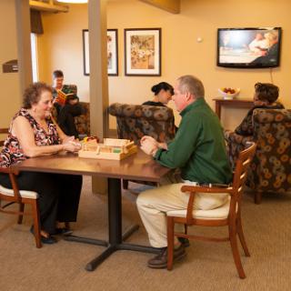 Two seniors enjoying a game together in a cozy indoor setting.