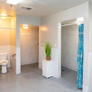 A spacious bathroom with a shower area and toilet, featuring bright lighting and a decorative plant.