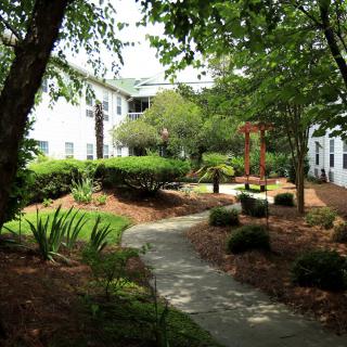 A serene garden with a winding pathway and benches surrounded by lush greenery.