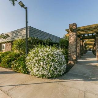 A modern building with a landscaped garden and a pathway featuring a pergola.