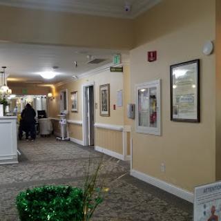 A well-lit hallway with decorative artwork and greenery, leading to various rooms.