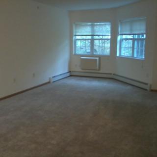 A vacant room with a carpeted floor and large windows letting in natural light.