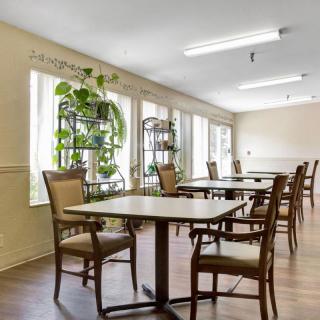 A spacious dining area with several tables and chairs, featuring large windows and green plants.
