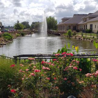 A scenic view of a pond with a fountain surrounded by flowers and buildings.