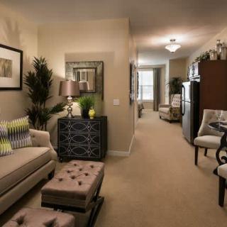 A cozy and elegantly decorated apartment living room featuring comfortable seating and tasteful furnishings.