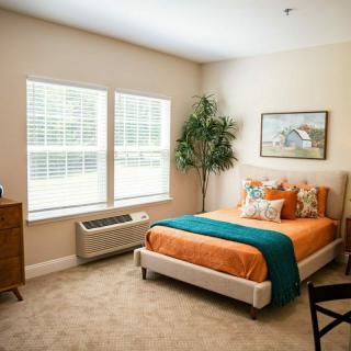 A cozy bedroom with large windows, a neatly made bed with orange and teal bedding, artwork on the wall, and a potted plant in the corner.