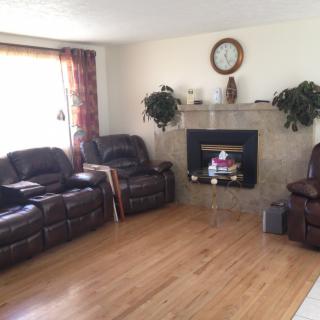 A cozy living room with leather sofas, a fireplace, and decorative plants.