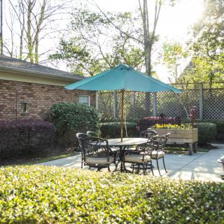 A sunny patio area with outdoor furniture and a large umbrella, surrounded by lush greenery.