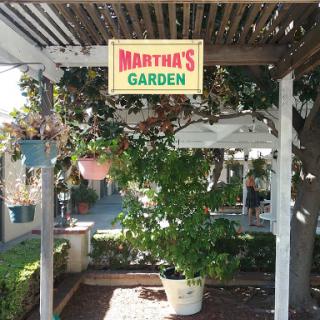 Welcome to Martha's Garden, a serene outdoor space filled with lush plants.
