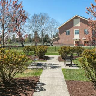 A serene garden pathway leading to a modern building, surrounded by neatly trimmed bushes and trees under a clear blue sky.