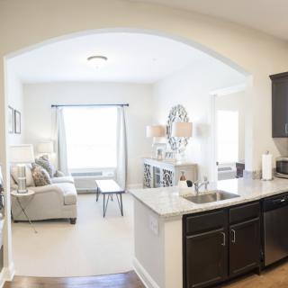 A modern open-concept living room and kitchen with bright natural lighting.