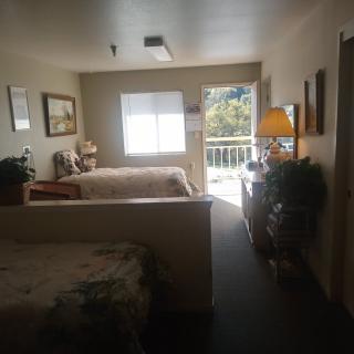 A cozy bedroom with two beds, decorated with plants and a lamp, featuring a window and access to a balcony.