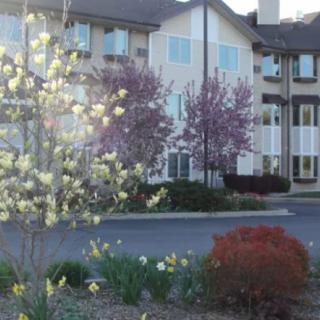A residential building surrounded by blooming trees and gardens in spring.