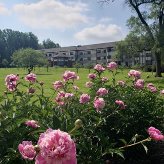 A scenic view of a garden with pink flowers in the foreground and a building in the distance under a blue sky.