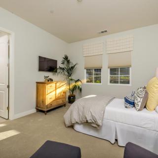 A cozy bedroom with a neatly made bed, a dresser with a television on top, and a potted plant by the window.