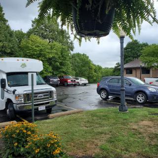 A rainy day in a parking lot with various vehicles and lush greenery.