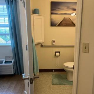 A clean and tidy bathroom featuring a toilet, artwork on the wall, and blue curtains.