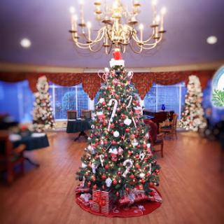 A beautifully decorated Christmas tree with ornaments and presents, creating a warm festive atmosphere.