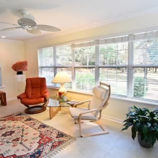 A bright living room with large windows, featuring comfortable armchairs, a stylish carpet, and an indoor plant.